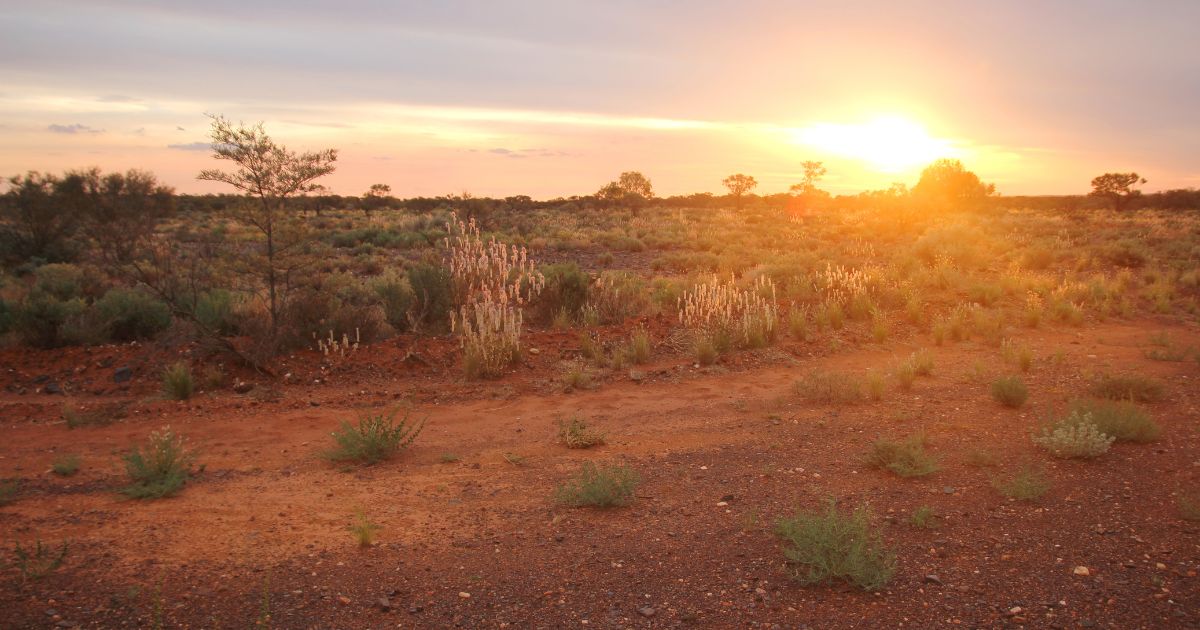 Sun shining across the horizon on an Australian outback.